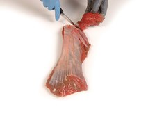 Underblade Muscle - Fully Trimmed Meat Cut Spec Step 5